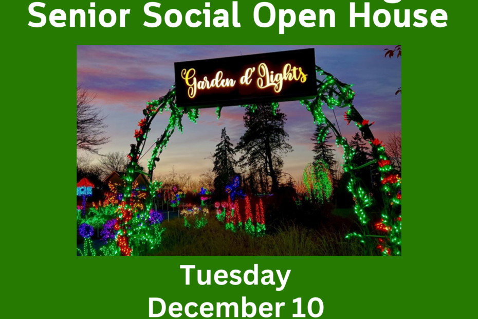 Bellevue Garden d:Lights outing