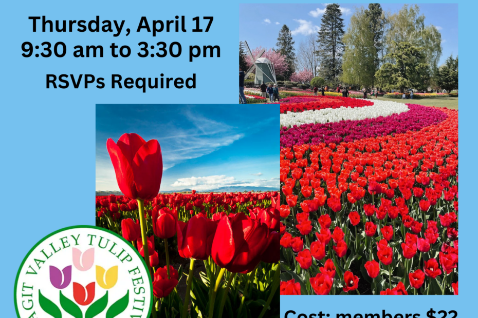 Skagit Tulip Festival