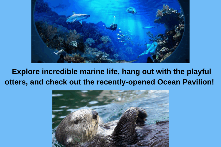 aquarium outing
