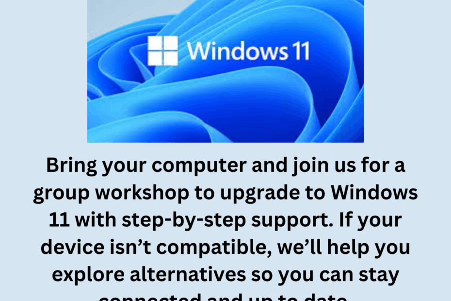 Widows 11- let's Do This